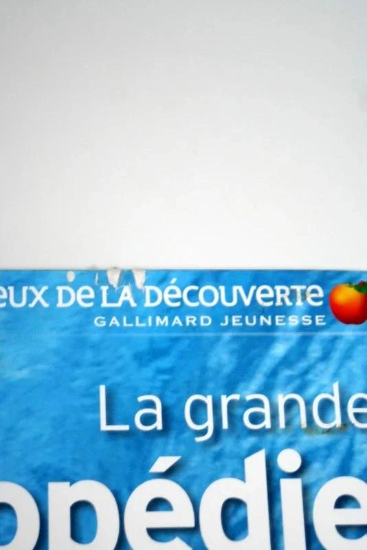 De Grote Encyclopedie van Gallimard Jeunesse – photo 2